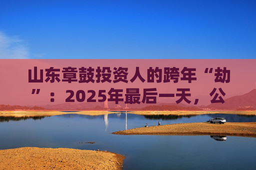 山东章鼓投资人的跨年“劫”：2025年最后一天，公司披露被中国证监会立案调查