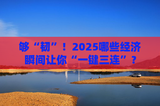 够“韧”！2025哪些经济瞬间让你“一键三连”？