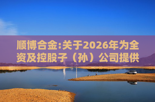 顺博合金:关于2026年为全资及控股子（孙）公司提供担保的公告