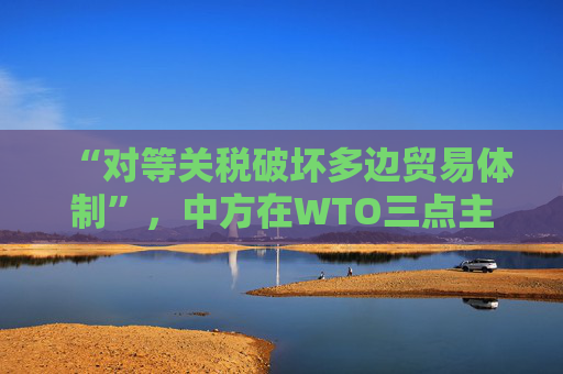 “对等关税破坏多边贸易体制”，中方在WTO三点主张发言，引发广泛呼应