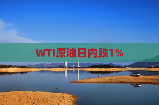 WTI原油日内跌1%