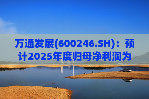 万通发展(600246.SH)：预计2025年度归母净利润为负值