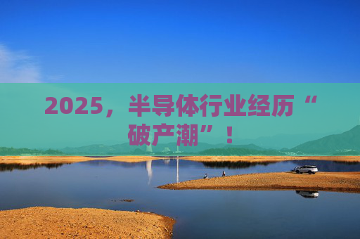 2025,半导体行业经历“破产潮”!