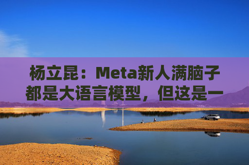 杨立昆:Meta新人满脑子都是大语言模型,但这是一条死胡同