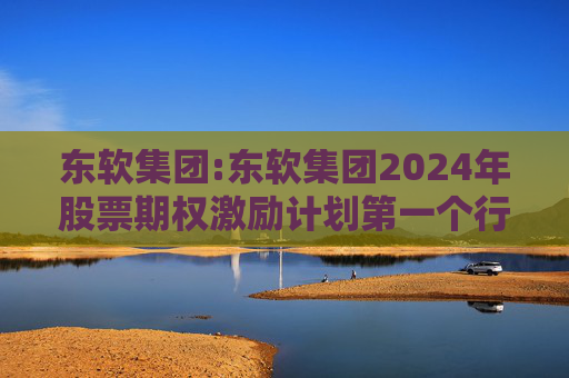 东软集团:东软集团2024年股票期权激励计划第一个行权期2025年第四季度自主行权结果暨股份变动的公告
