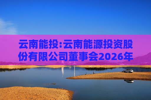 云南能投:云南能源投资股份有限公司董事会2026年第一次临时会议决议公告