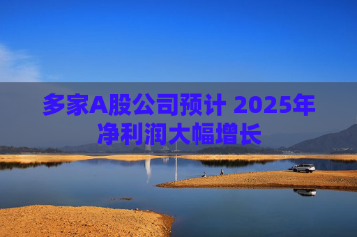 多家A股公司预计 2025年净利润大幅增长  第1张