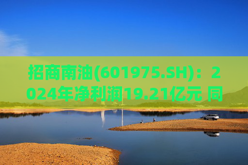 招商南油(601975.SH)：2024年净利润19.21亿元 同比增长23.38%  第1张