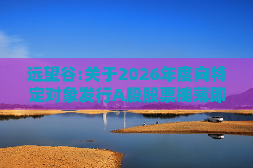 远望谷:关于2026年度向特定对象发行A股股票摊薄即期回报及填补措施和相关主体承诺的公告
