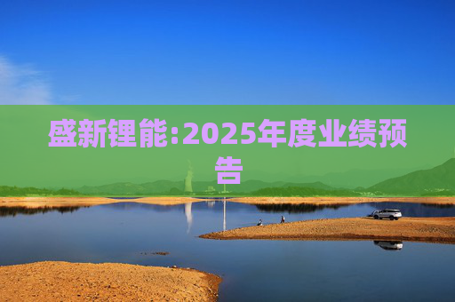 盛新锂能:2025年度业绩预告