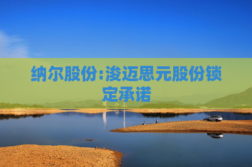 纳尔股份:浚迈思元股份锁定承诺
