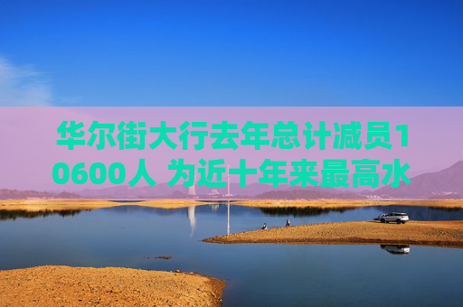 华尔街大行去年总计减员10600人 为近十年来最高水平