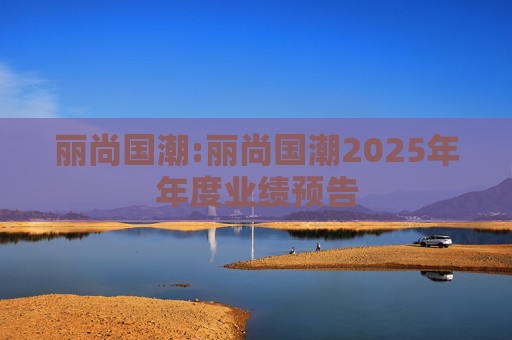 丽尚国潮:丽尚国潮2025年年度业绩预告