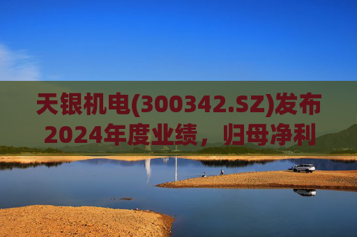 天银机电(300342.SZ)发布2024年度业绩,归母净利润9040.74万元,同比增长175.80%