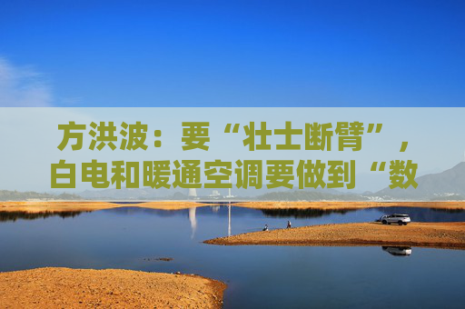 方洪波：要“壮士断臂”，白电和暖通空调要做到“数一数二”