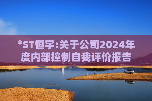 *ST恒宇:关于公司2024年度内部控制自我评价报告