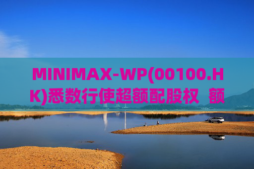 MINIMAX-WP(00100.HK)悉数行使超额配股权  额外筹资6.97亿港元