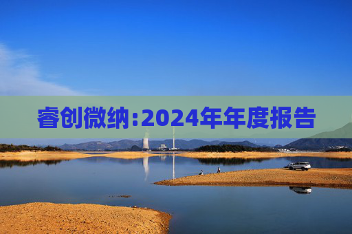 睿创微纳:2024年年度报告