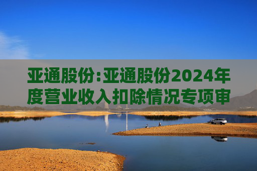 亚通股份:亚通股份2024年度营业收入扣除情况专项审核意见