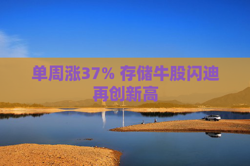 单周涨37% 存储牛股闪迪再创新高