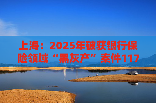 上海：2025年破获银行保险领域“黑灰产”案件117起 持续净化金融生态