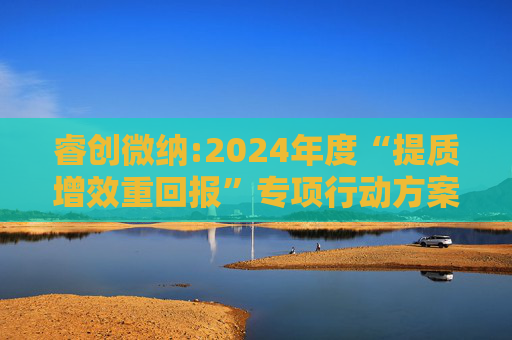 睿创微纳:2024年度“提质增效重回报”专项行动方案的评估报告暨2025年度“提质增效重回报”专项行动方案