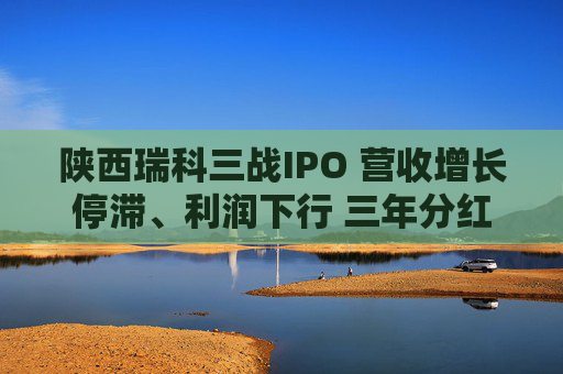 陕西瑞科三战IPO 营收增长停滞、利润下行 三年分红1.46亿