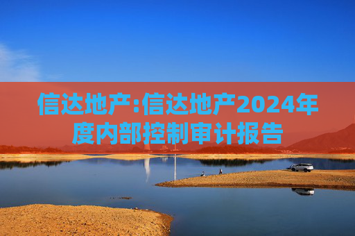 信达地产:信达地产2024年度内部控制审计报告