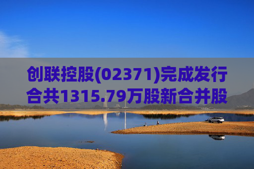 创联控股(02371)完成发行合共1315.79万股新合并股份