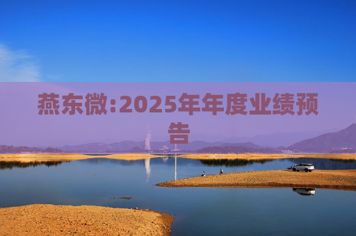 燕东微:2025年年度业绩预告