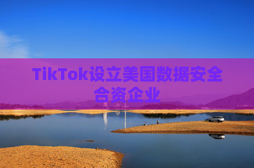 TikTok设立美国数据安全合资企业