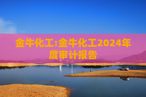 金牛化工:金牛化工2024年度审计报告  第1张
