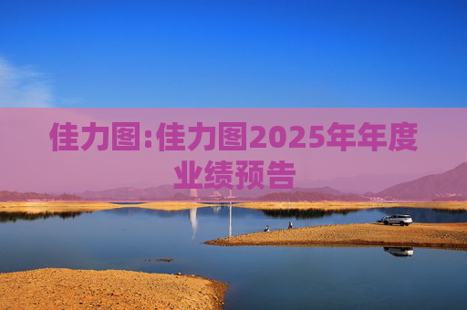 佳力图:佳力图2025年年度业绩预告