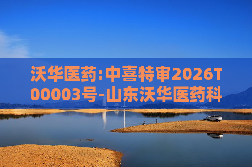 沃华医药:中喜特审2026T00003号-山东沃华医药科技股份有限公司-关联资金占用报告
