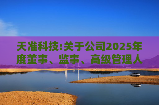 天准科技:关于公司2025年度董事、监事、高级管理人员薪酬方案的公告