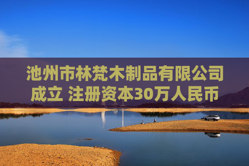 池州市林梵木制品有限公司成立 注册资本30万人民币  第1张