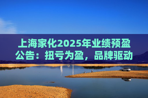 上海家化2025年业绩预盈公告：扭亏为盈，品牌驱动重回增长轨道