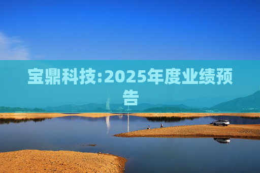 宝鼎科技:2025年度业绩预告