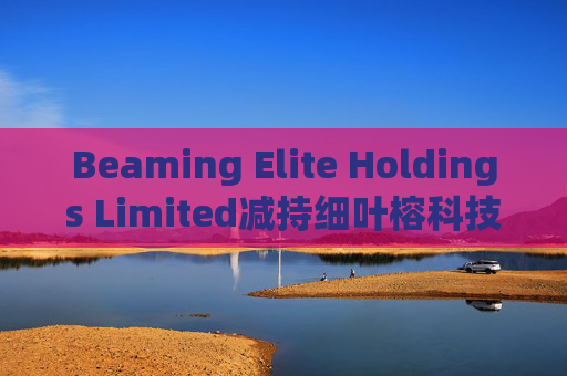 Beaming Elite Holdings Limited减持细叶榕科技(08107)254.5万股 每股作价0.1776港元