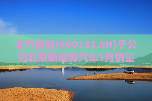 北汽蓝谷(600733.SH)子公司北京新能源汽车1月销量同比增加11.83%  第1张