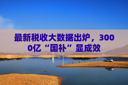 最新税收大数据出炉，3000亿“国补”显成效