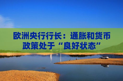 欧洲央行行长：通胀和货币政策处于“良好状态”