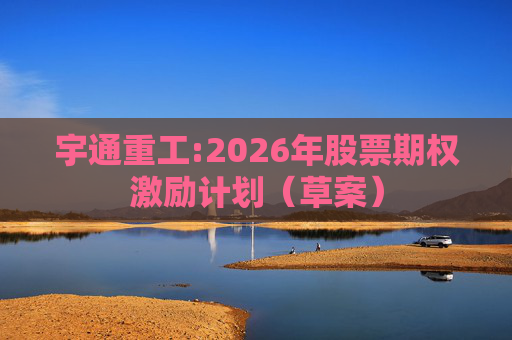 宇通重工:2026年股票期权激励计划（草案）
