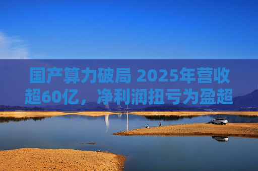 国产算力破局 2025年营收超60亿，净利润扭亏为盈超18亿