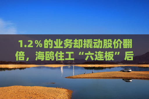 1.2％的业务却撬动股价翻倍，海鸥住工“六连板”后跌停，在越建厂能否扛住关税冲击？  第1张