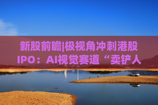 新股前瞻|极视角冲刺港股IPO：AI视觉赛道“卖铲人”潜力可期，盈利波动困境难解