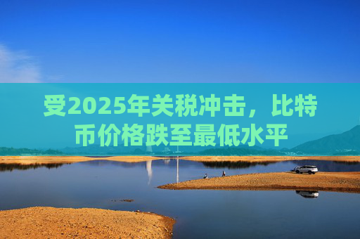 受2025年关税冲击，比特币价格跌至最低水平