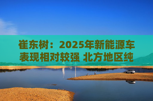 崔东树：2025年新能源车表现相对较强 北方地区纯电动占比提升明显