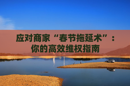 应对商家“春节拖延术”：你的高效维权指南