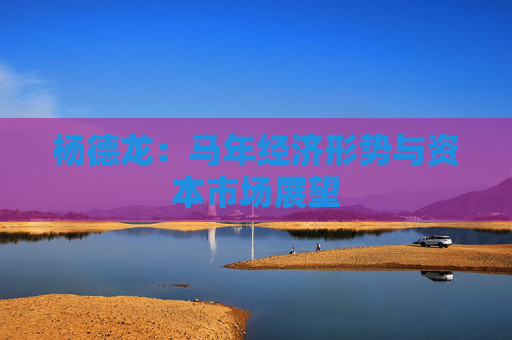 杨德龙：马年经济形势与资本市场展望